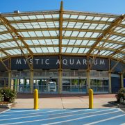 The main entrance of Mystic Aquarium in Connecticut, a wide yellow steel and glass canopy over the glass entrance doors beneath a dark sign reading Mystic Aquarium, with flowering shrubs on either side.
