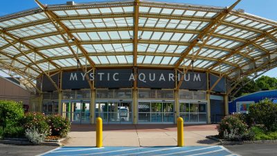The main entrance of Mystic Aquarium in Connecticut, a wide yellow steel and glass canopy over the glass entrance doors beneath a dark sign reading Mystic Aquarium, with flowering shrubs on either side.