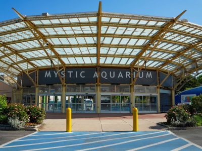 The main entrance of Mystic Aquarium in Connecticut, a wide yellow steel and glass canopy over the glass entrance doors beneath a dark sign reading Mystic Aquarium, with flowering shrubs on either side.