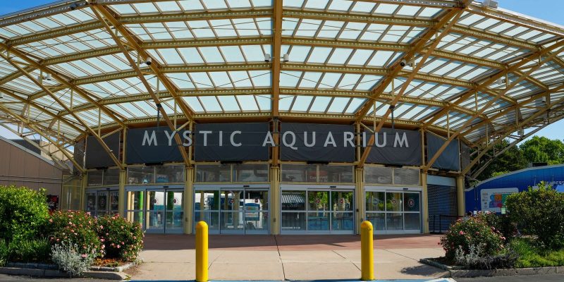 The main entrance of Mystic Aquarium in Connecticut, a wide yellow steel and glass canopy over the glass entrance doors beneath a dark sign reading Mystic Aquarium, with flowering shrubs on either side.