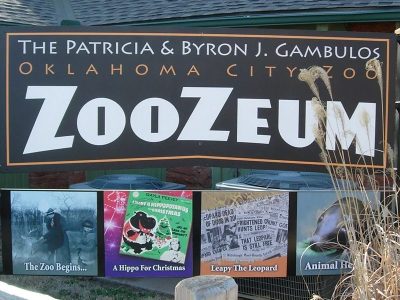 The entrance sign for the Patricia and Byron J. Gambulos ZooZeum at the Oklahoma City Zoo, a large dark sign in white and orange lettering mounted above four framed panels on the zoo's history, with dry ornamental grass in the foreground.