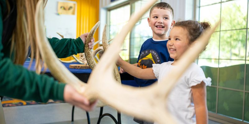 Two young children in Lee G. Simmons Wildlife Safari Park shirts smile as a staff member in a green uniform holds up a large branching antler in a bright indoor education room, with more antlers and animal skulls laid out on a table behind them.