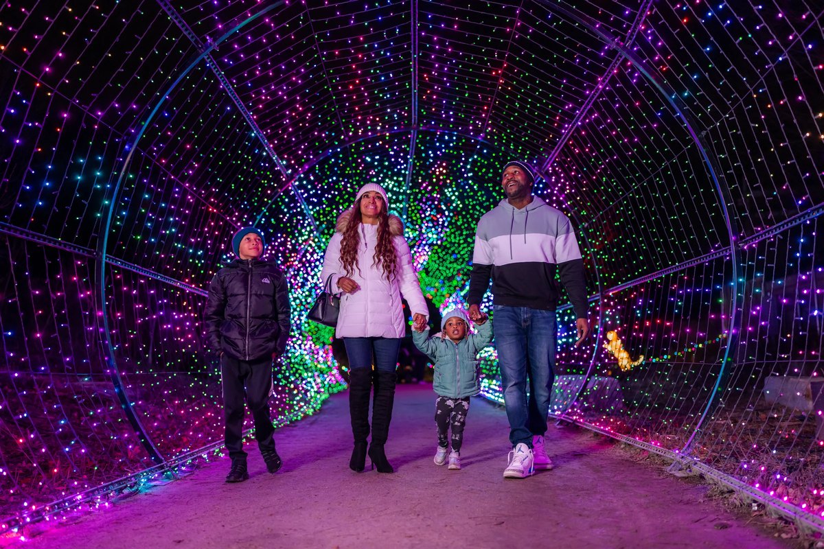 A family of four walks hand in hand through a tunnel of pink, purple and green lights on the LumiNature route at Philadelphia Zoo at night.
