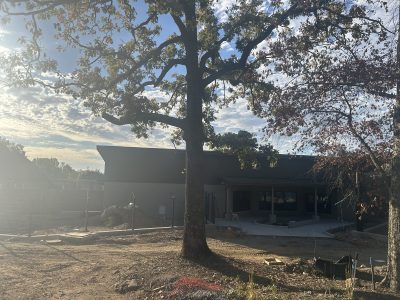 A low dark-roofed building under construction at the Little Rock Zoo, with freshly poured concrete pathways and a covered patio in front of it and a large bare oak in the foreground.
