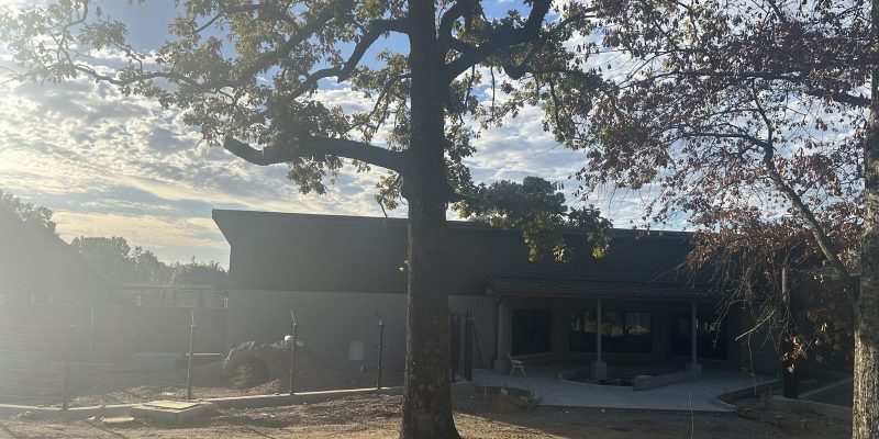 A low dark-roofed building under construction at the Little Rock Zoo, with freshly poured concrete pathways and a covered patio in front of it and a large bare oak in the foreground.