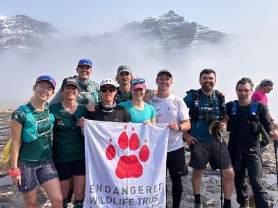 Ten hikers in trail running kit stand together on wet rock holding a white flag with a red paw print reading Endangered Wildlife Trust, with a snow covered Drakensberg escarpment rising out of thick cloud behind them.