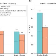 A pair of bar charts titled Predict context in elephants from EB family and Predict context in non-EB elephants. Teal, yellow and orange bars show classification accuracy between roughly 0.19 and 0.46 for single rumbles, chorus to chorus and single to chorus tests, each bar rising above a dashed predicted distribution baseline and marked with one, two or three asterisks for statistical significance.