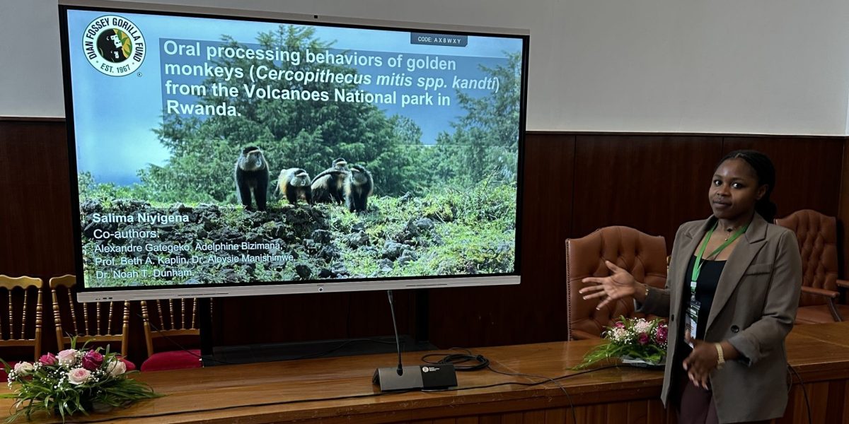 Salima Niyigena stands at a wood-panelled podium gesturing toward a large screen that shows her presentation title slide, which reads 'Oral processing behaviors of golden monkeys (Cercopithecus mitis spp. kandti) from the Volcanoes National park in Rwanda' above a photograph of three golden monkeys on a rocky slope.