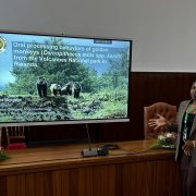 Salima Niyigena stands at a wood-panelled podium gesturing toward a large screen that shows her presentation title slide, which reads 'Oral processing behaviors of golden monkeys (Cercopithecus mitis spp. kandti) from the Volcanoes National park in Rwanda' above a photograph of three golden monkeys on a rocky slope.