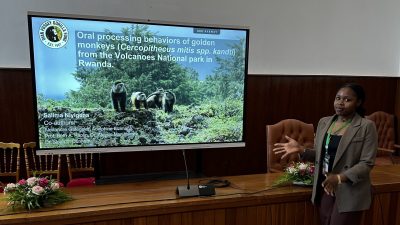 Salima Niyigena stands at a wood-panelled podium gesturing toward a large screen that shows her presentation title slide, which reads 'Oral processing behaviors of golden monkeys (Cercopithecus mitis spp. kandti) from the Volcanoes National park in Rwanda' above a photograph of three golden monkeys on a rocky slope.