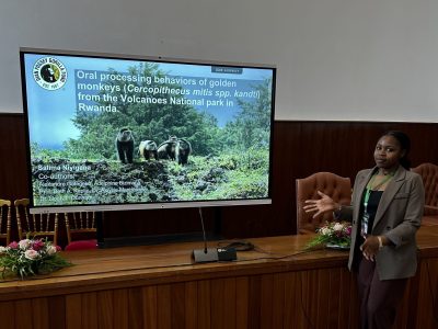 Salima Niyigena stands at a wood-panelled podium gesturing toward a large screen that shows her presentation title slide, which reads 'Oral processing behaviors of golden monkeys (Cercopithecus mitis spp. kandti) from the Volcanoes National park in Rwanda' above a photograph of three golden monkeys on a rocky slope.
