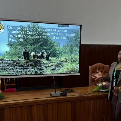 Salima Niyigena stands at a wood-panelled podium gesturing toward a large screen that shows her presentation title slide, which reads 'Oral processing behaviors of golden monkeys (Cercopithecus mitis spp. kandti) from the Volcanoes National park in Rwanda' above a photograph of three golden monkeys on a rocky slope.