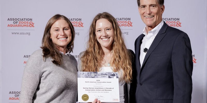 Cassandra Costello, Rochelle Stiles and Dan Ashe stand in front of an Association of Zoos and Aquariums backdrop, with Stiles holding the 2026 North American Conservation Award certificate for San Francisco Zoo and Gardens.
