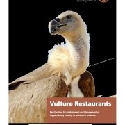 Cover of the National Center for Wildlife guide Vulture Restaurants, showing a vulture with a pale buff head and neck ruff in close profile against a plain white background, beside a rust-colored panel carrying the title and subtitle.