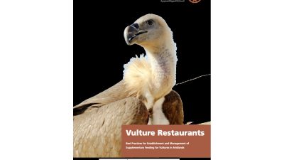 Cover of the National Center for Wildlife guide Vulture Restaurants, showing a vulture with a pale buff head and neck ruff in close profile against a plain white background, beside a rust-colored panel carrying the title and subtitle.