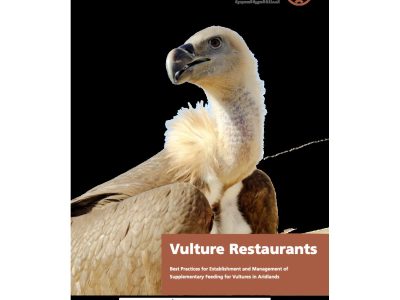 Cover of the National Center for Wildlife guide Vulture Restaurants, showing a vulture with a pale buff head and neck ruff in close profile against a plain white background, beside a rust-colored panel carrying the title and subtitle.