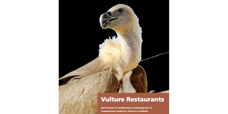 Cover of the National Center for Wildlife guide Vulture Restaurants, showing a vulture with a pale buff head and neck ruff in close profile against a plain white background, beside a rust-colored panel carrying the title and subtitle.