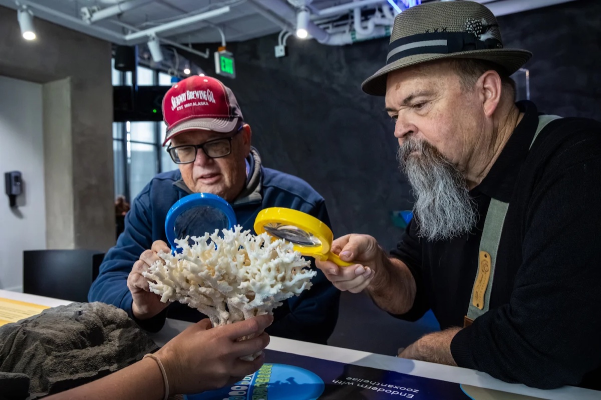 Two adult men, one in a baseball cap and one in a straw hat, lean in with colored magnifying glasses to examine a white branching coral skeleton held up at a table in the Seattle Aquarium's Discovery Lab.