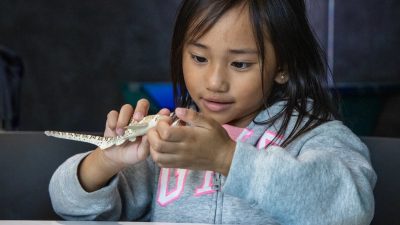 A young girl in a gray hooded sweatshirt holds a spotted toy leopard shark in both hands and studies it closely at a table in the Seattle Aquarium's Discovery Lab.