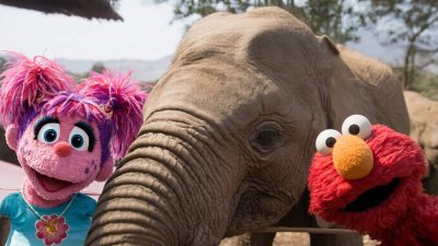 Abby Cadabby on the left and Elmo on the right lean in close on either side of a young African elephant's head and trunk at an outdoor enclosure, with hills and trees behind them.