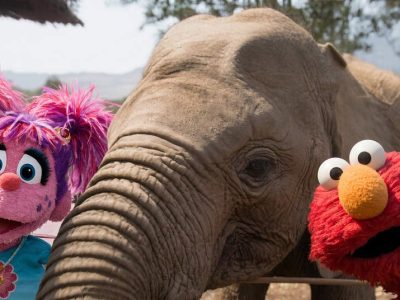 Abby Cadabby on the left and Elmo on the right lean in close on either side of a young African elephant's head and trunk at an outdoor enclosure, with hills and trees behind them.