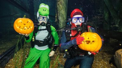 Two SCUBA divers in costume kneel on the gravel bottom of an aquarium exhibit, each holding up a carved jack-o'-lantern, one in a green dinosaur suit and hood and the other in a red and blue suit with a red hood, bubbles rising around them.