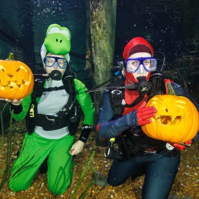 Two SCUBA divers in costume kneel on the gravel bottom of an aquarium exhibit, each holding up a carved jack-o'-lantern, one in a green dinosaur suit and hood and the other in a red and blue suit with a red hood, bubbles rising around them.