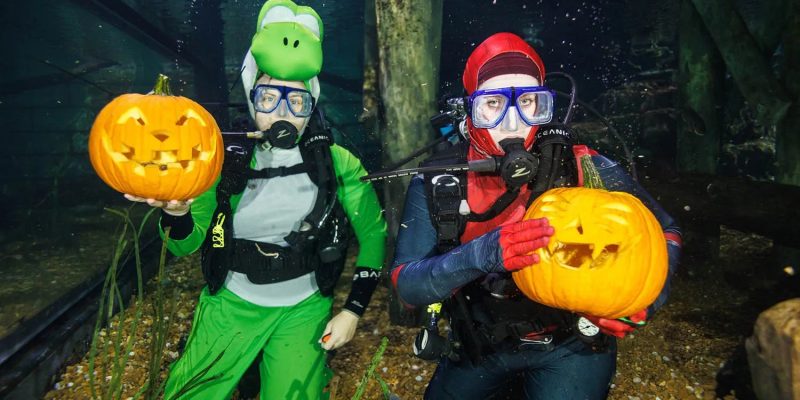 Two SCUBA divers in costume kneel on the gravel bottom of an aquarium exhibit, each holding up a carved jack-o'-lantern, one in a green dinosaur suit and hood and the other in a red and blue suit with a red hood, bubbles rising around them.
