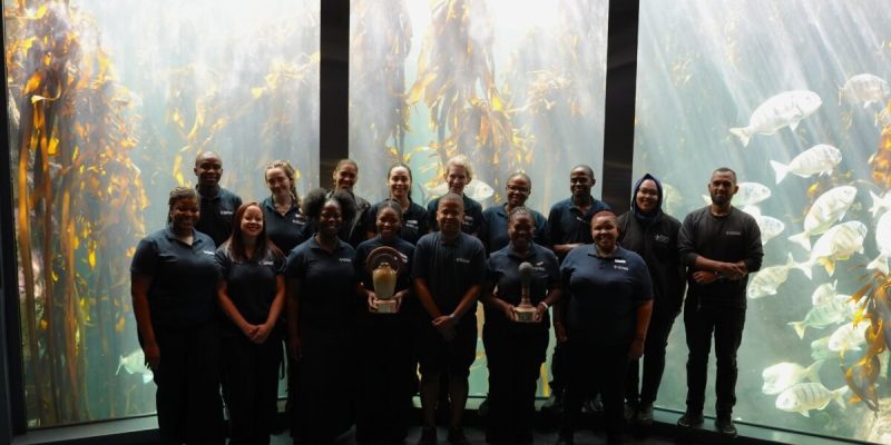 Aquarium staff in dark uniforms stand in front of a tall kelp forest exhibit, two of them holding trophies.