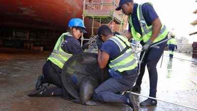 Three people in navy uniforms and high-visibility vests kneel on the wet concrete floor of a dry dock, working a Cape fur seal into a dark mesh net, with the red hull of a vessel and yellow scaffolding rising behind them and a fourth worker further down the dock.