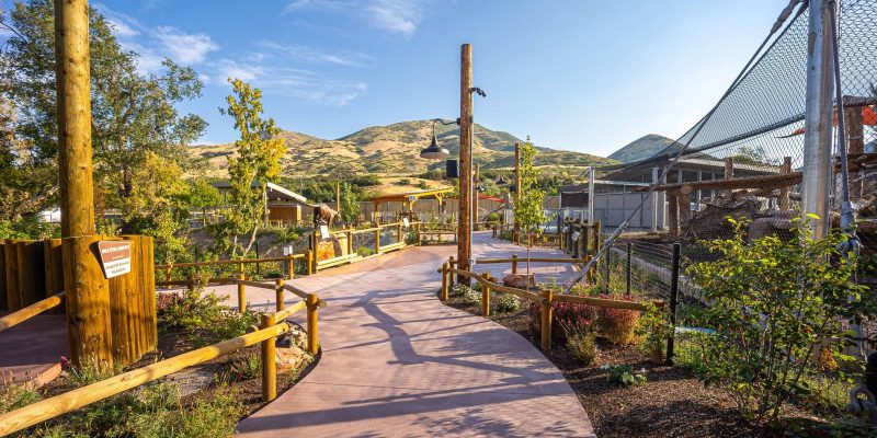 A curving paved path runs through the Wild Utah habitat between timber fencing and young trees, with a tall mesh aviary on the right and dry foothills rising behind.