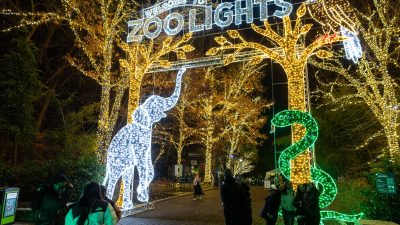 Visitors walk at night beneath the lit ZooLights entrance banner at the Smithsonian's National Zoo, flanked by a white light sculpture of an elephant and a green one of a snake.