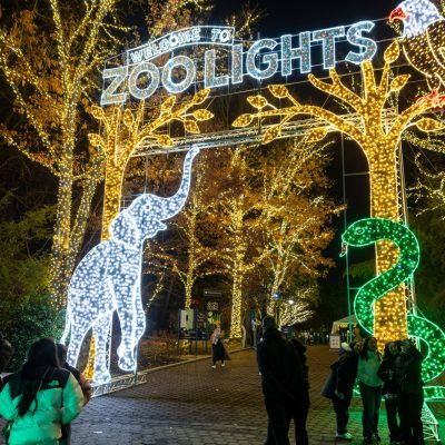 Visitors walk at night beneath the lit ZooLights entrance banner at the Smithsonian's National Zoo, flanked by a white light sculpture of an elephant and a green one of a snake.
