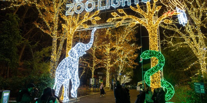 Visitors walk at night beneath the lit ZooLights entrance banner at the Smithsonian's National Zoo, flanked by a white light sculpture of an elephant and a green one of a snake.