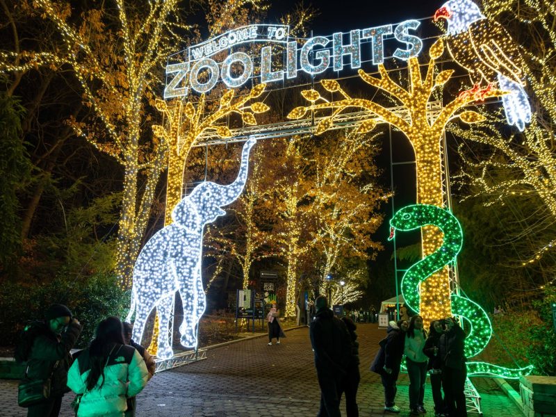 Visitors walk at night beneath the lit ZooLights entrance banner at the Smithsonian's National Zoo, flanked by a white light sculpture of an elephant and a green one of a snake.
